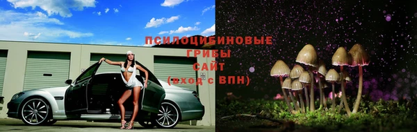а пвп мука Инта