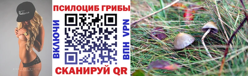 Купить  Шуя  Галлюциногенные грибы Magic Shrooms 
